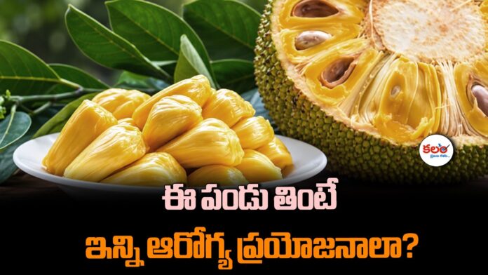 Jackfruit Benefits