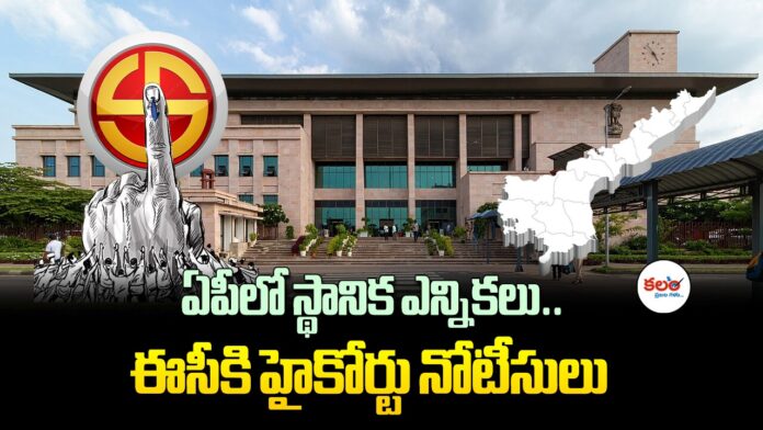 Local Body Elections