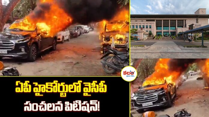 AP Local Body Elections
