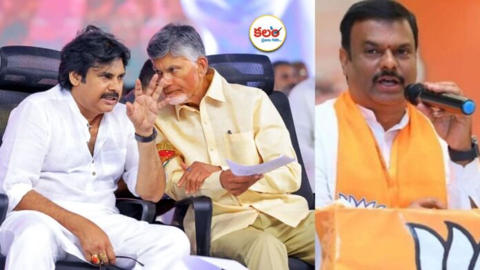 Local Body Elections
