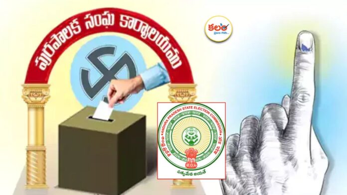 AP Local Body Elections