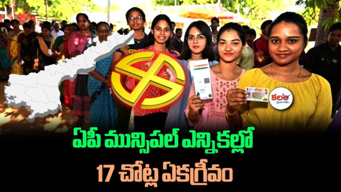 AP Municipal Elections
