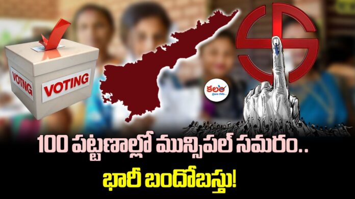 AP Municipal Elections