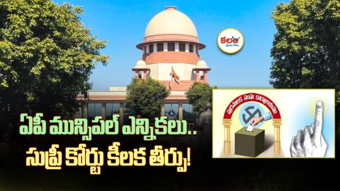 AP Municipal Elections