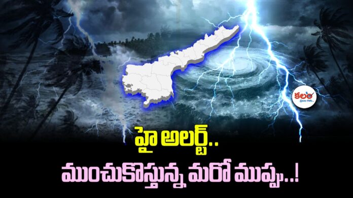 AP Weather