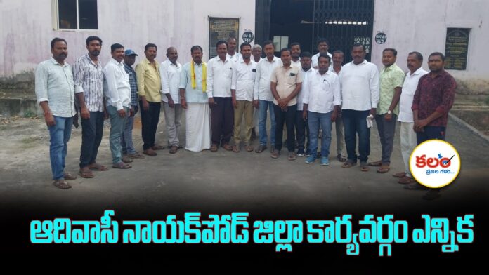 Adavasi Naikpod
