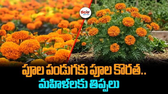 Bathukamma Flower Shortage