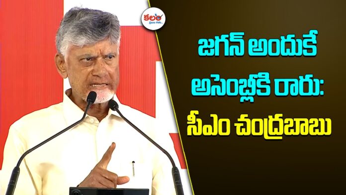 CM Chandrababu