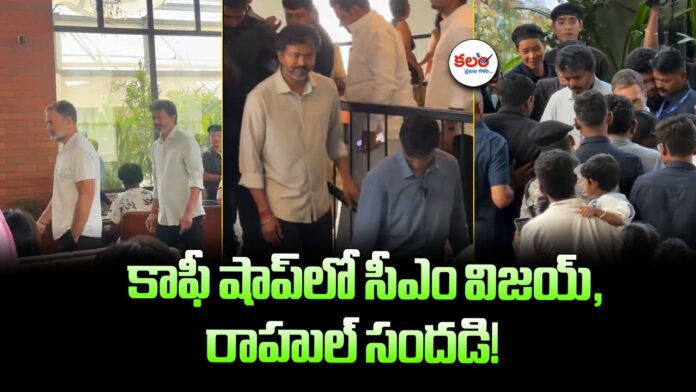 CM Vijay