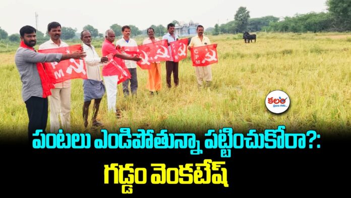 Gaddam Venkatesh