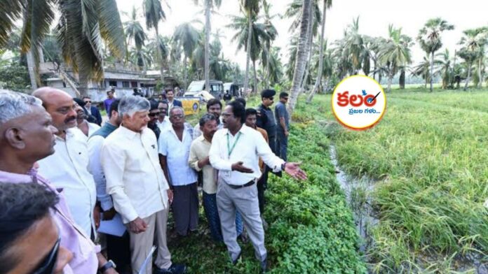 Chandrababu Naidu