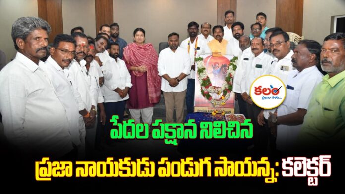 Collector Chitra Mishra