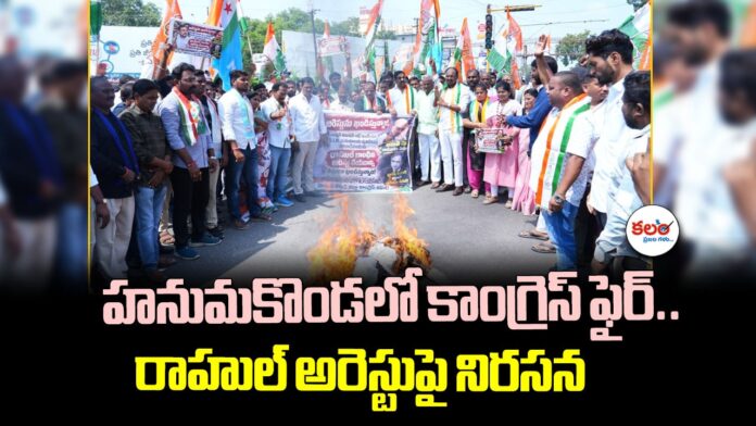 Congress Protest