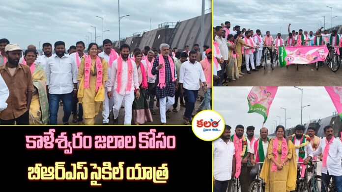 Dasari Mamatha Reddy