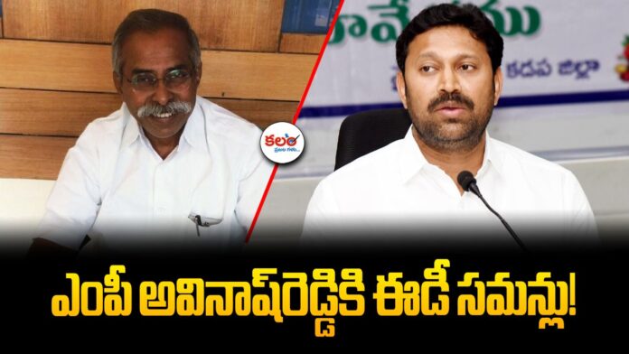 YS Avinash Reddy