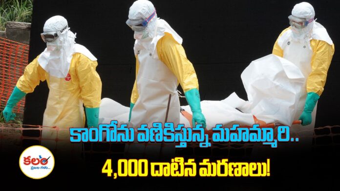 Ebola Virus