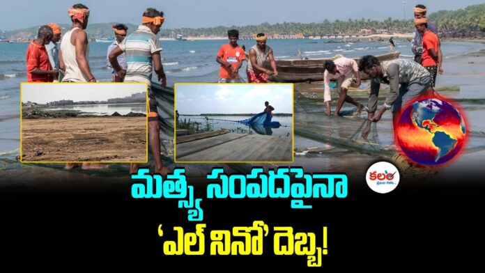 El Nino Impact
