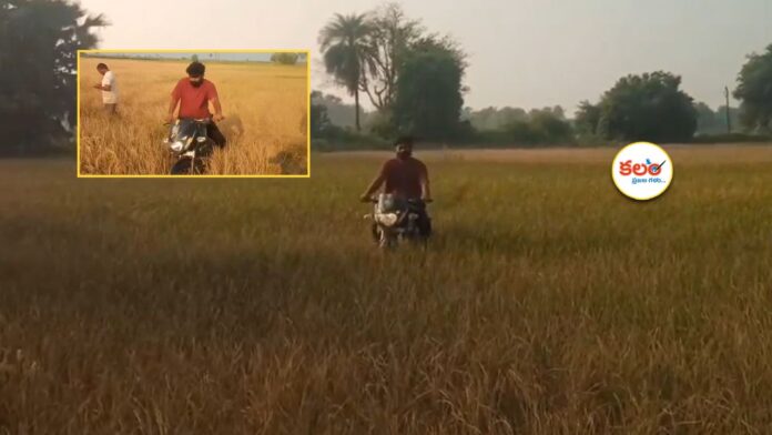 Farmer Bike Protest