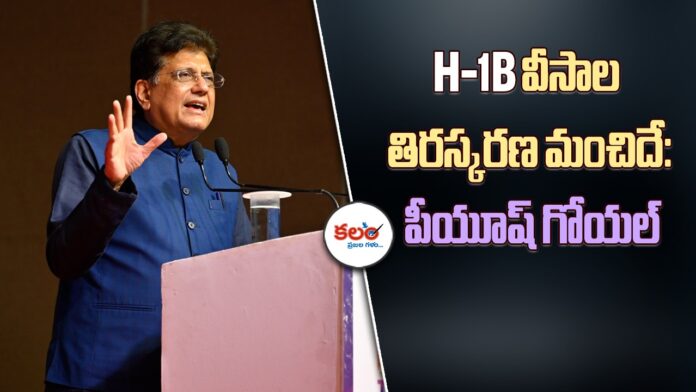 H1B Visa