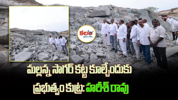 Harish Rao