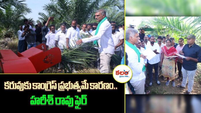 Harish Rao