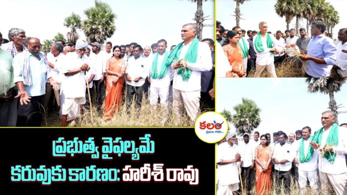 Harish Rao