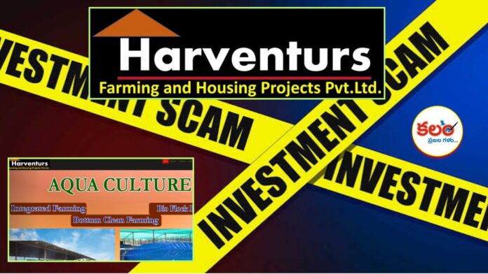 Harventure Scam