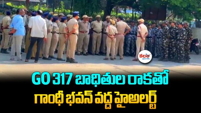 GO 317 Victims