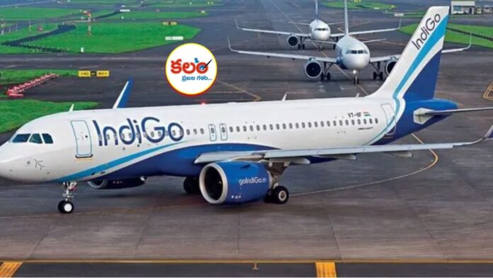 IndiGo Flight