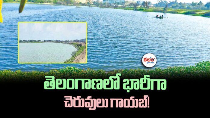 Telangana Irrigation
