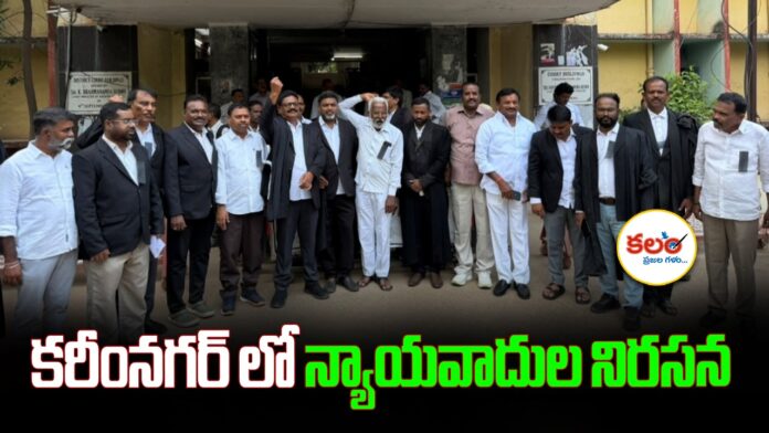 Lawyers Protest