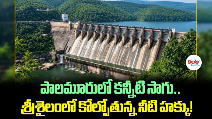 Krishna Water Dispute