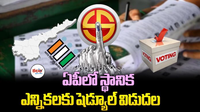 Local Body Elections