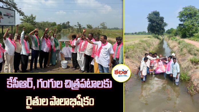 Irrigation Water