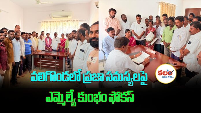MLA Anil Kumar Reddy