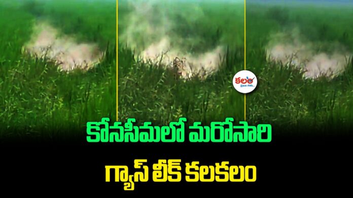 Machavaram Gas Leak