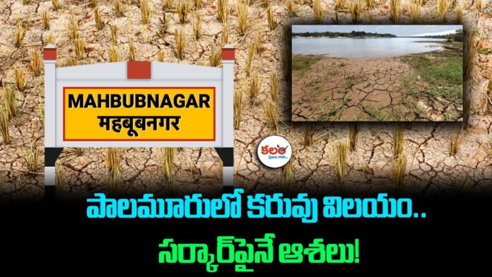 Mahabubnagar Drought