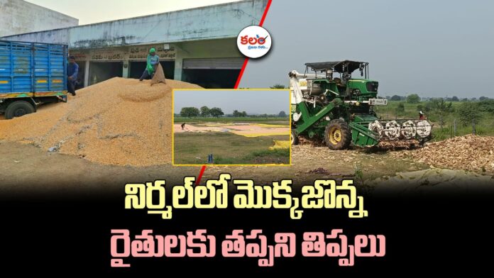 Maize Farmers