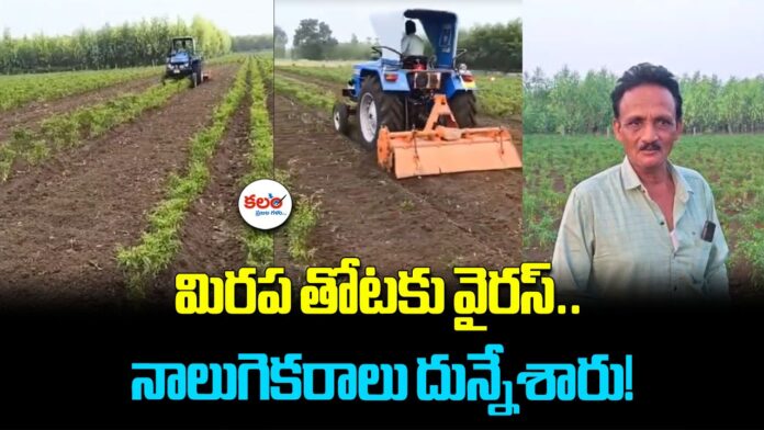 Mallaram Farmer