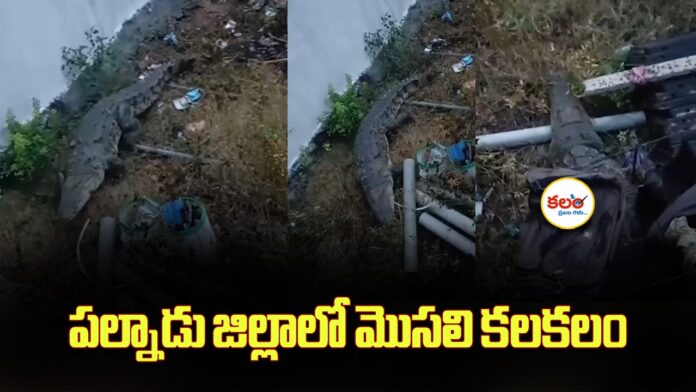 Guttikonda
