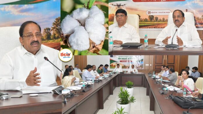 Cotton Procurement