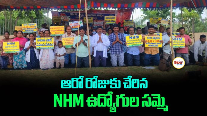 NHM Employees