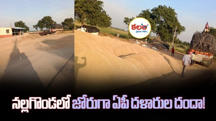 Nalgonda Paddy
