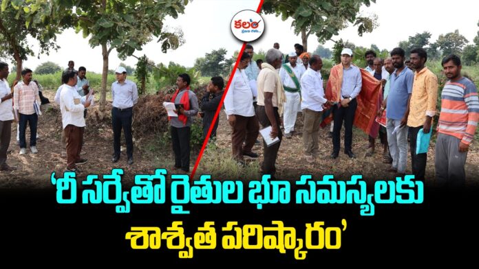 Land Resurvey