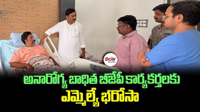 BJP Workers