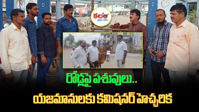 Cattle on Roads