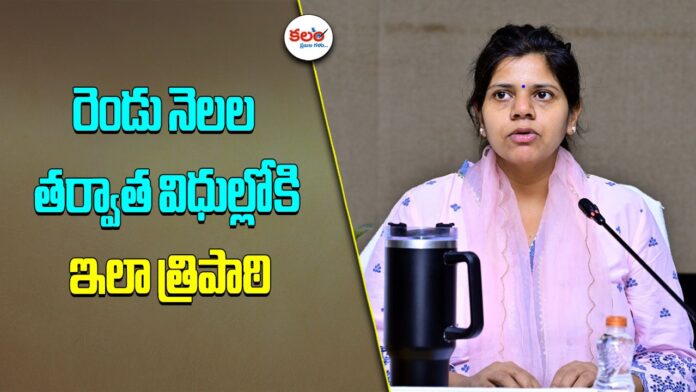 Collector Ila Tripathi