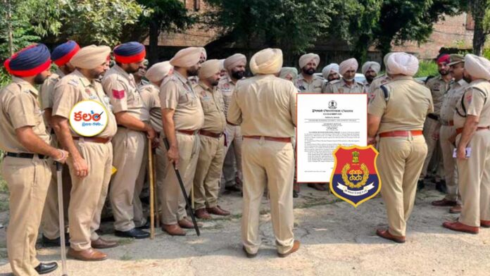 Punjab Drug Network