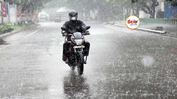 Rain Alert