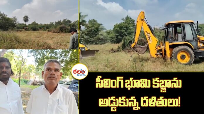 Land Encroachment